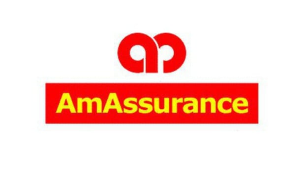 AmGeneral Insurance